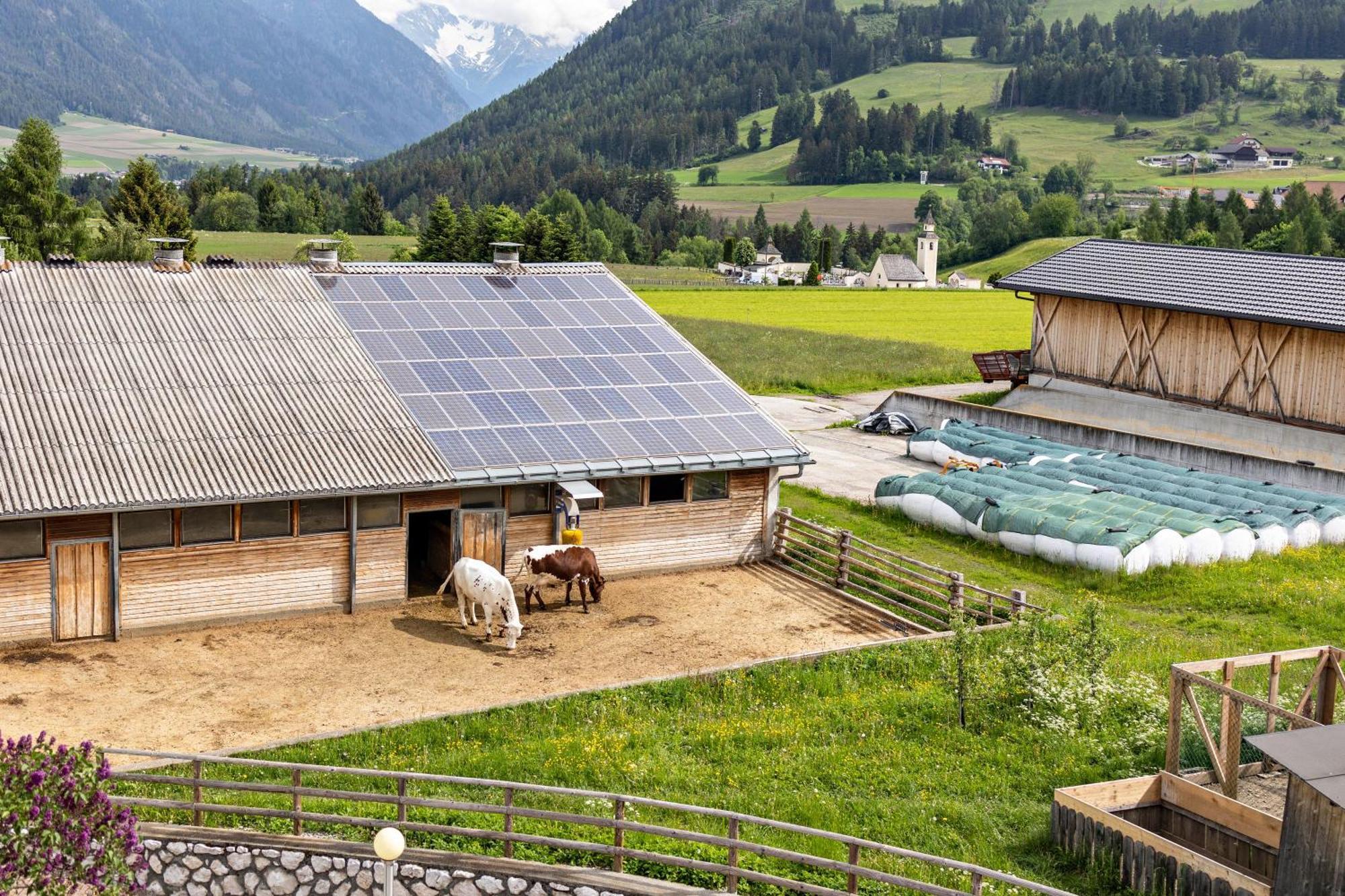 Oberhoelzlhof Valdaora di Sopra Eksteriør billede